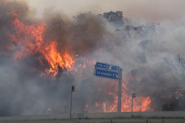 Una impactant imatge que va donar la volta al món FOTO: MARINA LÓPEZ
