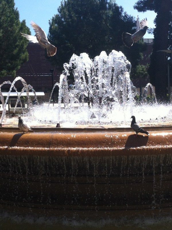 I tanmateix, hi ha esperança. La Plaça de la Font Lluminosa.